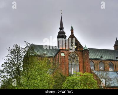 Gotische Kirche mit Rosenfenster und Kirchturm, umgeben von Bäumen, stralsund, mecklenburg, deutschland Stockfoto