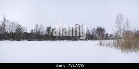 Winterlandschaft, gefrorener und schneebedeckter Moorsee in Pfrunger Ried Stockfoto