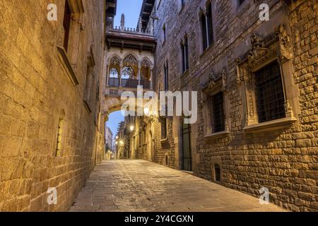 Das historische Barrio Gotico in Barcelona in der Abenddämmerung mit dem Pont del Bispe Stockfoto