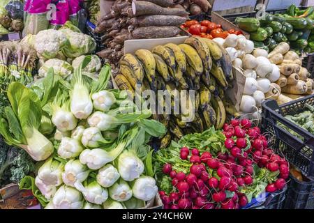 Große Auswahl an frischem Gemüse an einem Marktstand Stockfoto