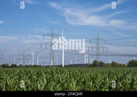 Pylonen, Stromleitungen und Windturbinen mit Maisfeld in Deutschland Stockfoto