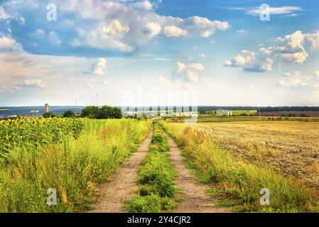 Landstraße durch Felder von Sonnenblumen und gemähter Weizen Stockfoto