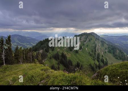 Blick vom Seelekopf auf den Hohenfluhalpkopf, Nagelfluhkette, Allgaeu Stockfoto