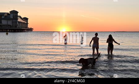 Weston Super Mare, Großbritannien. September 2024. An einem warmen und noch späten Abend, wenn die Sonne untergeht, werden Menschen und Hunde beim Schwimmen in Weston Super Mare gesehen. Bildnachweis: Robert Timoney/Alamy Live News Stockfoto