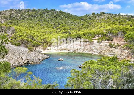 Calo d?en Monjo in der Nähe von Cala Fornells im Westen Mallorcas Stockfoto