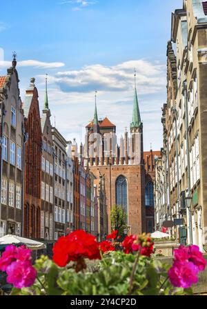 Blumen vor der Marienkirche in Danzig, Polen, Europa Stockfoto