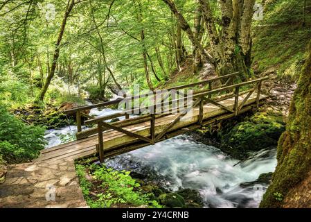 Kleine Holzbrücke über die Flusskaskade im Wald von Montenegro Stockfoto