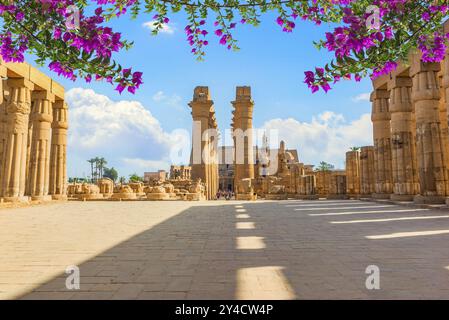 Blumen auf dem Platz mit Säulen im Tempel Luxor, Ägypten, Afrika Stockfoto