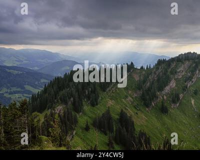 Blick vom Seelekopf auf den Hohenfluhalpkopf, Nagelfluhkette, Allgaeu Stockfoto