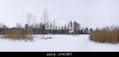 Winterlandschaft, gefrorener und schneebedeckter Moorsee in Pfrunger Ried Stockfoto