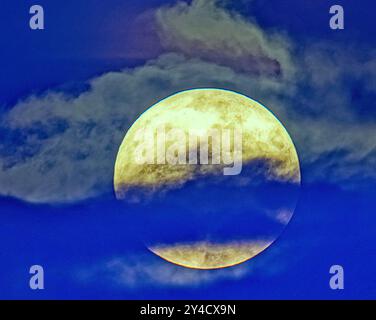 Glasgow, Schottland, Großbritannien. 17. September 2024. UK Wetter: Vollerntemond der erste von vier aufeinanderfolgenden Supermonden durch die Wolken Credit Gerard Ferry/Alamy Live News Stockfoto