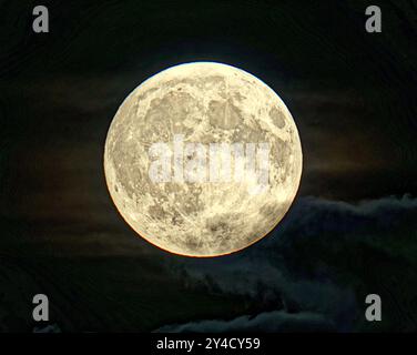 Glasgow, Schottland, Großbritannien. 17. September 2024. UK Wetter: Vollerntemond der erste von vier aufeinanderfolgenden Supermonden durch die Wolken Credit Gerard Ferry/Alamy Live News Stockfoto