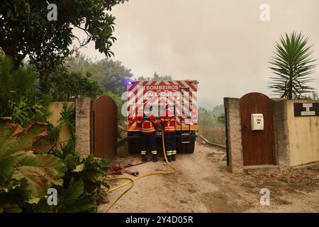 Sever Do Vouga, Portugal. September 2024. Feuerwehrleute werden beobachtet, wie sie sich auf ein Waldfeuer in Felgares, Sever do Vouga (Aveiro) vorbereiten. Mehr als 2.000 Feuerwehrleute kämpften bei einem Waldbrand im Norden Portugals, als Beamte warnten, dass Tausende von Hektar in Gefahr seien, während die Temperaturen im ganzen Land hoch ansteigen. Quelle: SOPA Images Limited/Alamy Live News Stockfoto