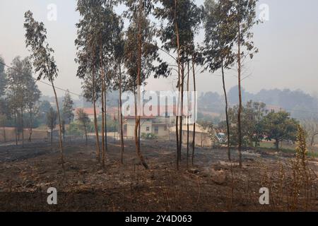 Sever Do Vouga, Portugal. September 2024. Ein Haus steht nach dem Waldbrand bei Fojo, Sever do Vouga (Aveiro). Mehr als 2.000 Feuerwehrleute kämpften bei einem Waldbrand im Norden Portugals, als Beamte warnten, dass Tausende von Hektar in Gefahr seien, während die Temperaturen im ganzen Land hoch ansteigen. Quelle: SOPA Images Limited/Alamy Live News Stockfoto