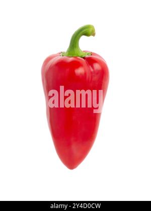 Pfeffergemüse isoliert auf weißem Hintergrund. Ganze Paprika ausgeschnitten, Nahaufnahme Stockfoto