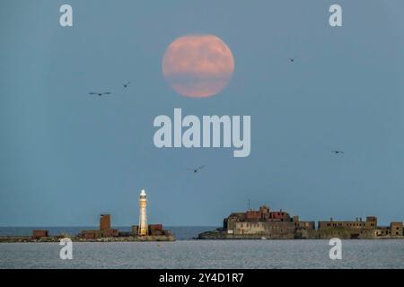 Weymouth, Dorset, Großbritannien. September 2024. Wetter in Großbritannien. Der Vollmond leuchtet orange, wenn er in den trüben Himmel über dem Portland Breakwater Fort und dem Leuchtturm von Weymouth in Dorset aufsteigt. Dieser Mond ist ein Supermond mit einer partiellen Sonnenfinsternis in den frühen Morgenstunden des 18. September. Bildnachweis: Graham Hunt/Alamy Live News Stockfoto