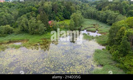 Blick aus der Vogelperspektive auf einen ruhigen See, umgeben von üppigen grünen Bäumen und Vegetation. Das Wasser reflektiert das Grün, mit Flecken von Lilienpads, die auf dem schweben Stockfoto