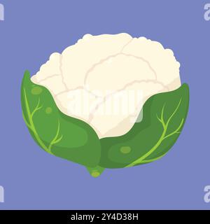 Blumenkohl-Gemüse-Symbol-Vektor. Blumenkohl-Vektorsymbol. Blumenkohl-Abbildung Stock Vektor