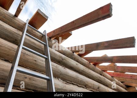 Ländliches Holzhaus befindet sich im Bau. Eine Leiter führt bis zur Wand aus naturfarbenen Kiefernstämmen und Dachsparrenbrettern, Backgrou Stockfoto