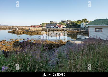 Rote Häuser am Ufer mit Gras und Blumen im Vordergrund in Kabelvag City, Lofoten Norwegen Stockfoto