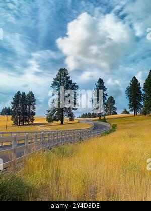 An einem hellen, teilweise bewölkten Tag im Osten Washingtons schlängelt sich eine umzäunte Straße durch das Land. Stockfoto