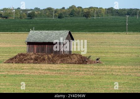 Ein kleines, altes, hölzernes Gebäude steht auf einem Strohhaufen auf einem Feld. Das Feld ist überwiegend grün, mit einigen braunen Flecken Stockfoto