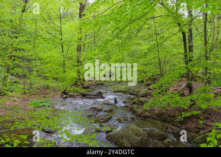 Cumberland Falls State Park in den Catoctin Mountains in Maryland. Stockfoto