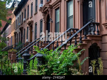 Ein Sandstein in der Gegend von Clinton Hill in Brooklyn, NY Stockfoto