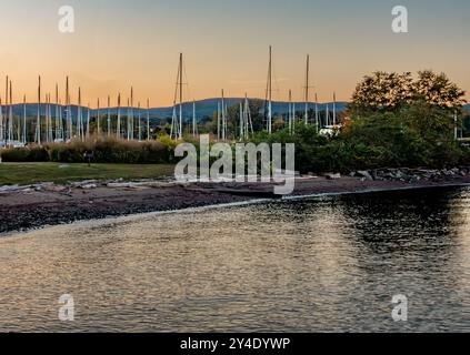 West Haverstroh, NY - USA - 10. September 2024 der Yachthafen am Hudson Water Club am Hudson River verfügt über Reihen von Segelbooten vor einer grünen Kulisse Stockfoto