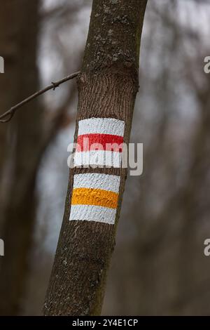 Wanderweg-Schilder in einem Wald Stockfoto