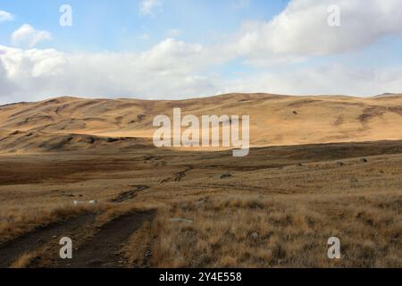 Eine schlammige Feldstraße führt an einem sonnigen Herbsttag in eine hügelige Steppe mit trockenem, gelblichem Gras. Chui Steppe, Altai, Sibirien, Russland. Stockfoto