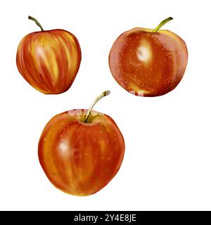 Rote Äpfel. Drei Äpfel. Die Frucht ist rot mit gelben Flecken. Andere Perspektive. Aquarellabbildung. Stockfoto