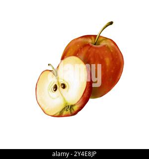 Komposition mit rotem Apfel und Apfelscheibe. Der Apfel wird geschnitten. Das Apfelfleisch ist sichtbar. apfelsamen. Reife und saftige Früchte. Aquarellabbildung. Stockfoto