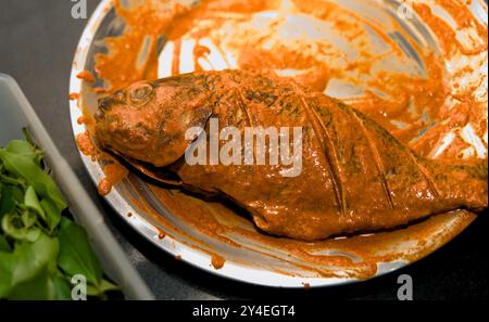 Frischer Fisch mit einer lebendigen, scharfen Marinade, fertig zum Kochen. Ein verführerisches Aroma erfüllt die Luft. Stockfoto