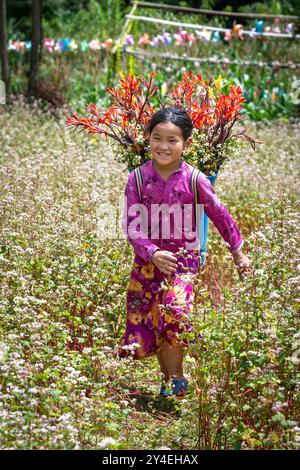 Das junge Hmong-Mädchen läuft durch ein Feld mit Buchweizenblumen in Lung Cam in der Provinz Ha Giang in Vietnam Stockfoto