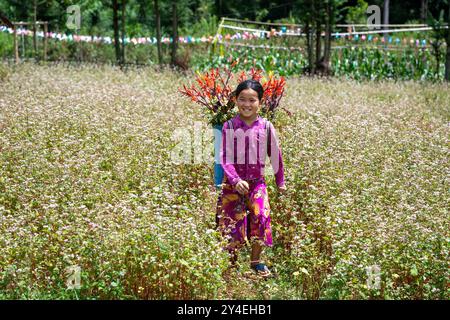 Das junge Hmong-Mädchen läuft durch ein Feld mit Buchweizenblumen in Lung Cam in der Provinz Ha Giang in Vietnam Stockfoto