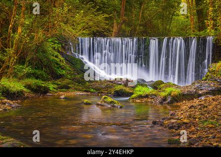 Tief in den Wäldern von Asturien im Nordwesten Spaniens, etwa 15 Kilometer von Vegadeo entfernt, liegt der Wasserfall am linken Ufer des Flusses Suarón Stockfoto