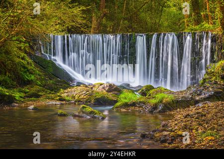 Tief in den Wäldern von Asturien im Nordwesten Spaniens, etwa 15 Kilometer von Vegadeo entfernt, liegt der Wasserfall am linken Ufer des Flusses Suarón Stockfoto