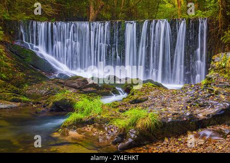 Tief in den Wäldern von Asturien im Nordwesten Spaniens, etwa 15 Kilometer von Vegadeo entfernt, liegt der Wasserfall am linken Ufer des Flusses Suarón Stockfoto