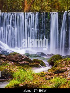 Tief in den Wäldern von Asturien im Nordwesten Spaniens, etwa 15 Kilometer von Vegadeo entfernt, liegt der Wasserfall am linken Ufer des Flusses Suarón Stockfoto