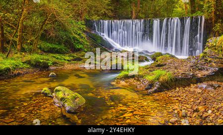 Tief in den Wäldern von Asturien im Nordwesten Spaniens, etwa 15 Kilometer von Vegadeo entfernt, liegt der Wasserfall am linken Ufer des Flusses Suarón Stockfoto