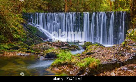 Tief in den Wäldern von Asturien im Nordwesten Spaniens, etwa 15 Kilometer von Vegadeo entfernt, liegt der Wasserfall am linken Ufer des Flusses Suarón Stockfoto