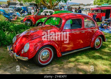 Roter klassischer Volkswagen Beetle, der neben anderen alten Volkswagens auf einer Autoshows in Victoria, Australien, ausgestellt ist Stockfoto
