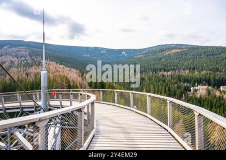 Besucher genießen einen atemberaubenden Panoramablick vom Sky Walk Tower in Swieradow Zdroj. Das umliegende Isergebirge bietet üppige Wälder und weit entfernte Gipfel unter klarem Himmel. Stockfoto