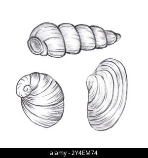 Handgezeichneter schwarzer Bleistift-Satz Muscheln isoliert auf weißem Hintergrund. Marine-Illustration kann für Karten, Etiketten, Einladungen und andere gedruckte Artikel verwendet werden Stockfoto