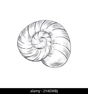 Hand gezeichnete schwarze Bleistift Spirale Muschel isoliert auf weißem Hintergrund. Marine-Illustration kann für Karten, Etiketten, Einladungen und andere gedruckte PR Stockfoto
