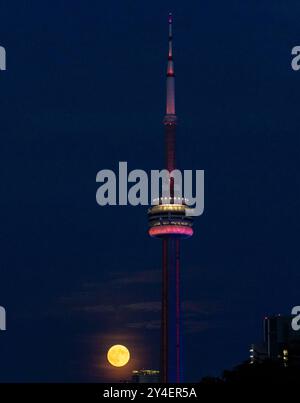 Toronto, Kanada. September 2024. Am 17. September 2024 wird ein Vollmond über Toronto, Kanada, beobachtet. Quelle: Zou Zheng/Xinhua/Alamy Live News Stockfoto