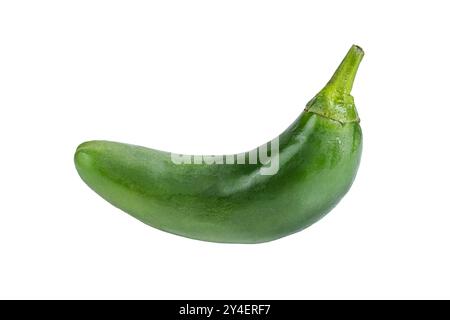 Grüner ganzer frischer Jalapeno isoliert auf weißem Hintergrund Stockfoto