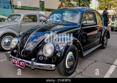 Schwarzer 1961er australischer Volkswagen Käfer, gebaut in Clayton, Victoria, mit klassischer Chromverarbeitung und originalem Stil Stockfoto