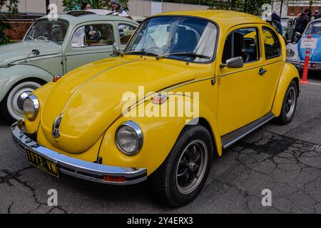 Gelber Volkswagen Käfer von 1973 mit Chromstoßstangen, Alufelgen und klassischem luftgekühltem Design in Victoria, Australien. Stockfoto
